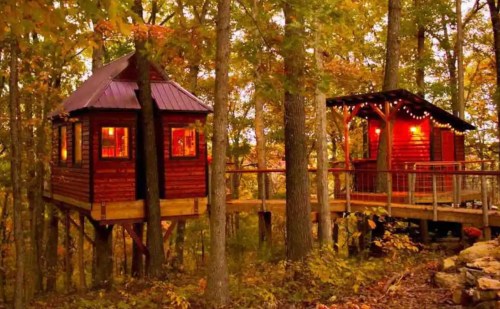 Two cozy treehouses nestled among autumn trees, illuminated with warm lights, connected by a wooden walkway.