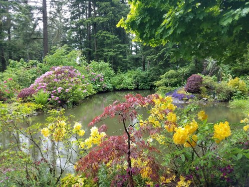 A serene garden scene with vibrant flowers and lush greenery surrounding a tranquil pond.