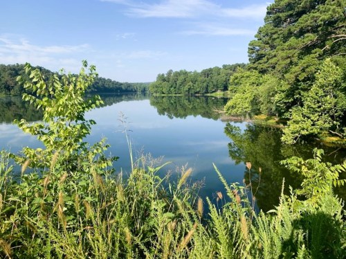 A serene lake surrounded by lush greenery and trees, reflecting the clear blue sky.
