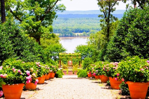 A scenic garden path lined with potted flowers, leading to a view of a river and lush greenery in the background.