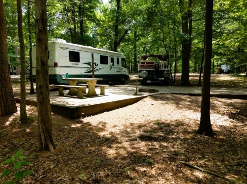 A campsite with a parked RV and a picnic table surrounded by trees and fallen leaves.