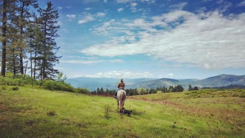 A person on horseback stands in a grassy field, overlooking a scenic landscape of mountains and trees under a blue sky.