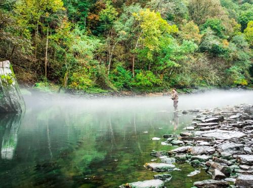 A person fishing in a misty river surrounded by lush green trees and rocky shoreline.