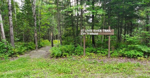 A wooded area with a sign for St. Louis River Trail and Zim Trailhead, surrounded by lush greenery.