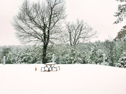 A snowy landscape featuring a picnic table and trees, blanketed in fresh snow under a cloudy sky.