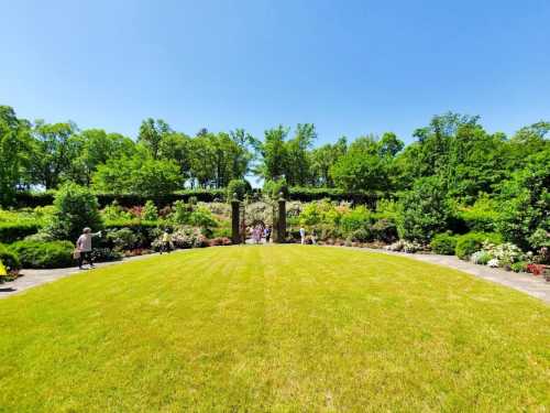 A lush garden with vibrant flowers and greenery under a clear blue sky, featuring a pathway leading to an archway.