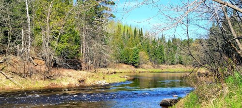 A serene river flows through a lush forest, with green trees and clear blue skies reflecting in the water.