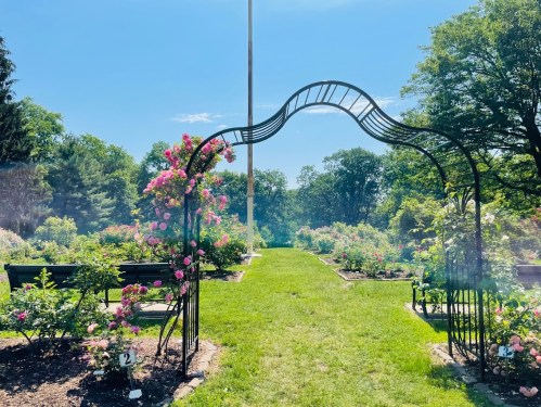 A sunny garden path leads through an archway adorned with pink flowers, surrounded by lush greenery and benches.