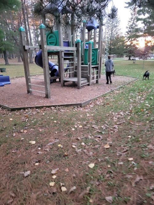 A playground with slides and climbing structures, surrounded by trees, as a person walks a dog nearby.
