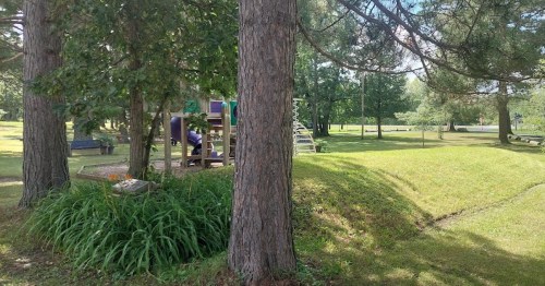 A playground partially hidden by trees, with green grass and a clear sky in a park setting.