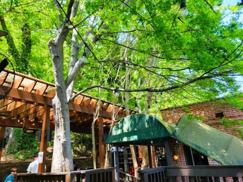 A sunny outdoor space with green trees, wooden structures, and a brick wall in the background.