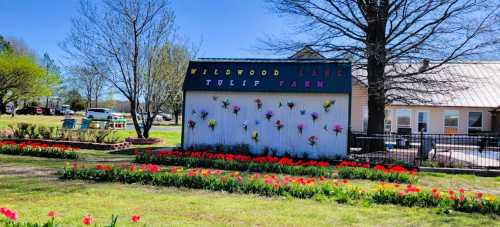 Colorful sign for Wildwood Lane Tulip Farm, surrounded by blooming tulips and green grass on a sunny day.