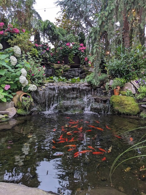 A serene garden scene featuring a waterfall, lush greenery, colorful flowers, and koi fish swimming in a pond.