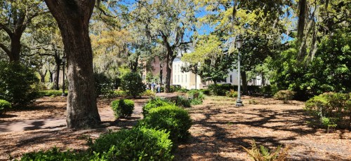 A sunny park scene with lush greenery, trees, and a pathway, featuring people in the background.