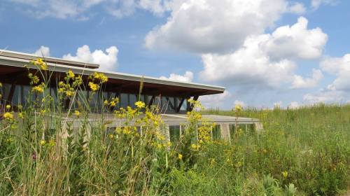 A modern building surrounded by tall grass and wildflowers under a blue sky with fluffy clouds.