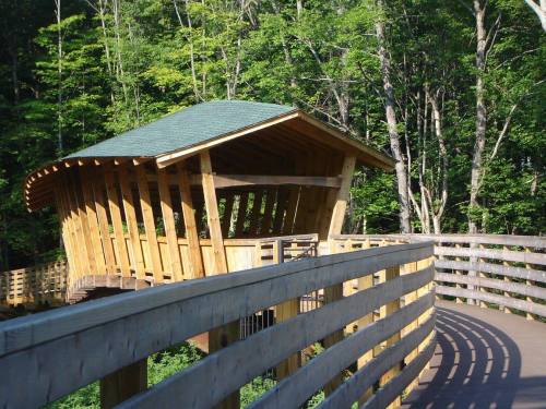A wooden observation deck with a curved design, surrounded by lush green trees and a winding pathway.