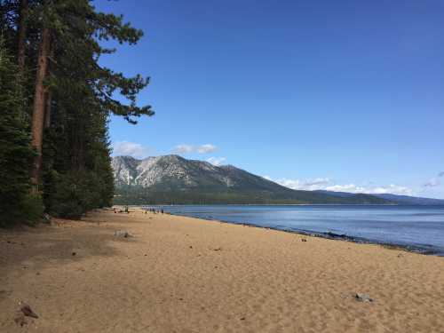 A sandy beach lined with trees, mountains in the background, and a calm lake under a blue sky with scattered clouds.