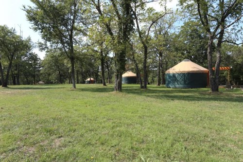 A grassy area with several yurts surrounded by trees under a clear blue sky.