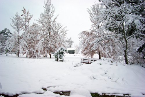 A snowy landscape with trees covered in white, a bench partially buried in snow, and a distant building.