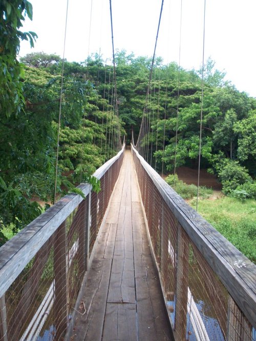 A long wooden suspension bridge stretches over a lush green landscape, surrounded by trees and foliage.