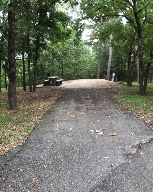 A paved path leads to a picnic area with a table, surrounded by trees in a wooded park setting.