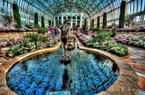 A vibrant greenhouse filled with flowers, featuring a central pond and a statue, surrounded by visitors.