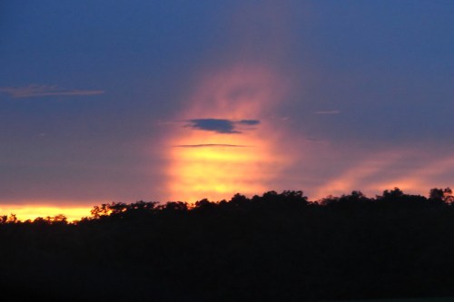 A vibrant sunset with orange and purple hues behind dark silhouettes of trees against a twilight sky.