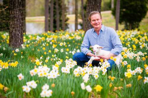 A man in a blue checkered shirt sits in a field of daffodils, holding a small white goat. Trees and a pond are in the background.