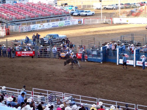 A rodeo scene with a cowboy riding a bucking bull, surrounded by spectators and vehicles in the background.