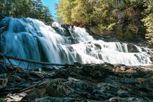 A serene waterfall cascades over rocks, surrounded by lush green trees under bright sunlight.