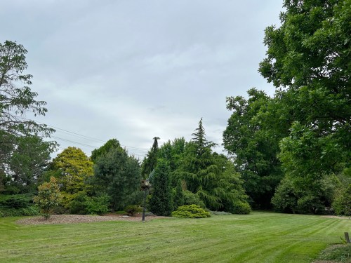 A lush green lawn with various trees and shrubs under a cloudy sky.