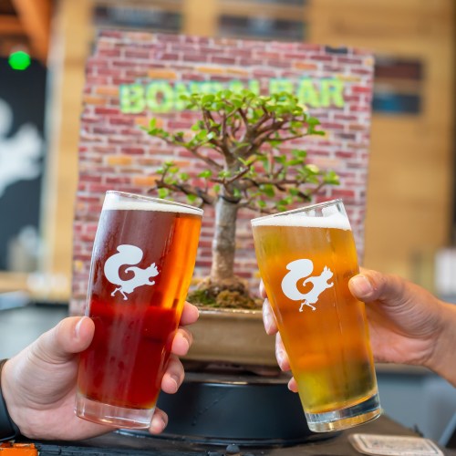 Two hands hold glasses of amber and golden beer in front of a small bonsai tree and a brick wall backdrop.