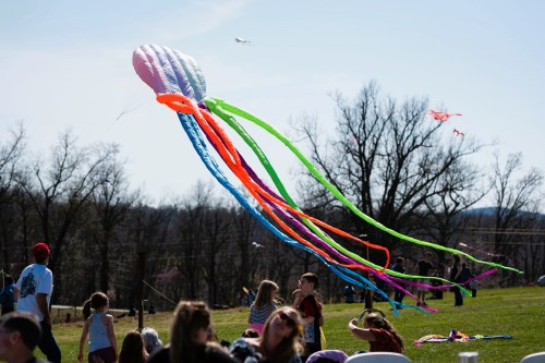 A colorful jellyfish kite flies above a grassy field with children and families enjoying a sunny day outdoors.