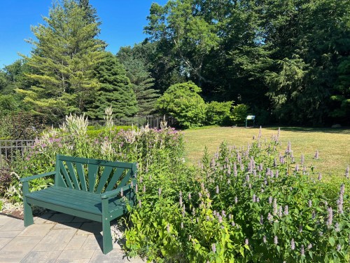 A green bench surrounded by blooming flowers and lush greenery under a clear blue sky.