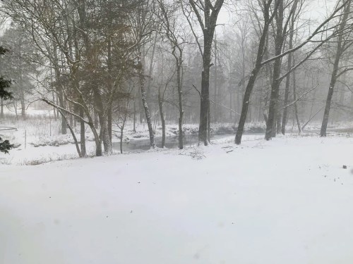 A snowy landscape with trees and a partially frozen stream, creating a serene winter scene.