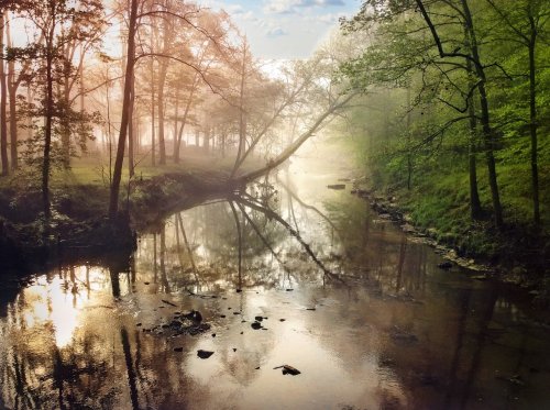 A serene river scene with mist, trees, and reflections in the water, creating a tranquil, ethereal atmosphere.