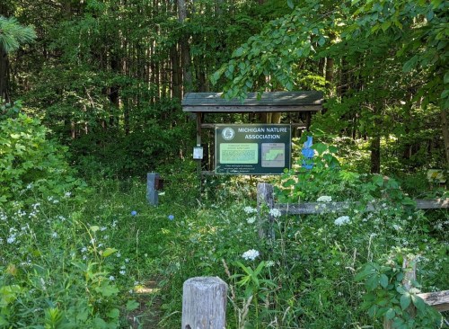 A sign for the Michigan Nature Association surrounded by lush greenery and wildflowers in a forested area.