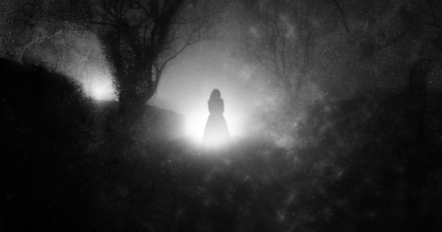 A shadowy figure in a long dress stands in a foggy, dimly lit landscape, surrounded by trees and mist.