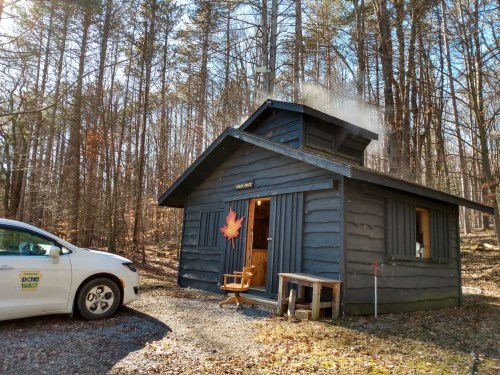 A rustic cabin in the woods with smoke rising from the chimney, parked car nearby, surrounded by trees.