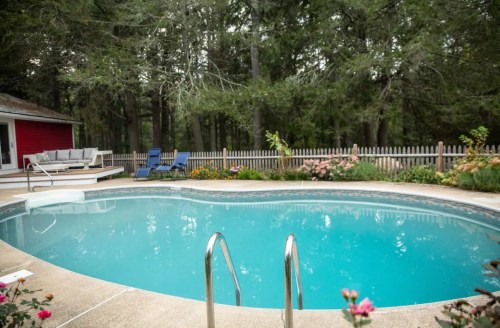 A serene backyard pool surrounded by greenery and colorful flowers, with lounge chairs nearby.
