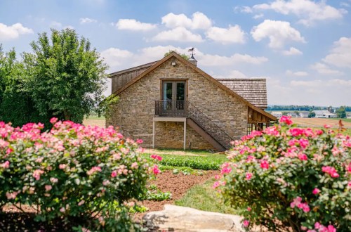 A charming stone house surrounded by blooming pink roses and lush greenery under a bright blue sky.