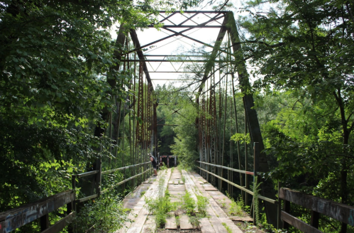 An old, rusty bridge surrounded by lush greenery, with wooden planks and overgrown plants on the pathway.
