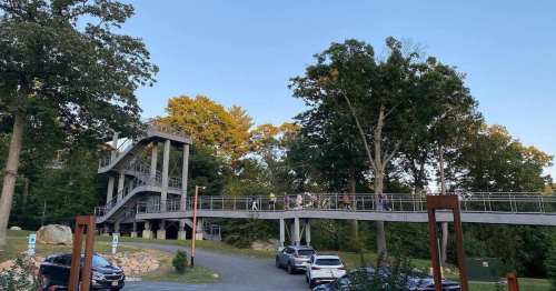 A group of people walks across a modern pedestrian bridge surrounded by trees and parked cars.