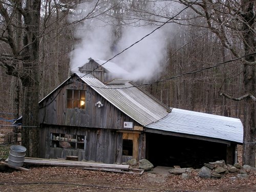 A rustic wooden cabin with smoke rising from the chimney, surrounded by bare trees in a wooded area.