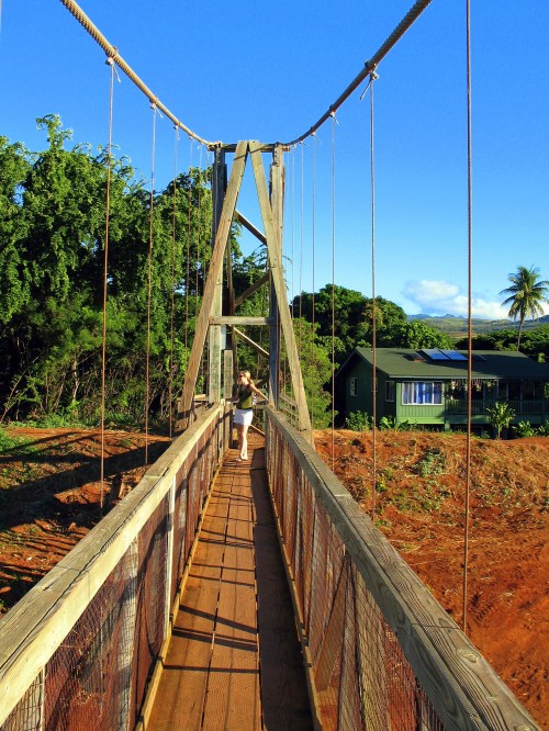 A person walks across a wooden suspension bridge surrounded by lush greenery and a blue sky.