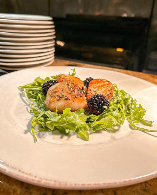 Grilled salmon fillets on a bed of arugula, garnished with fresh blackberries, served on a white plate.