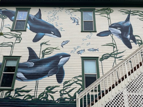Mural of orcas swimming among seaweed and fish on a building's exterior, with a staircase in the foreground.