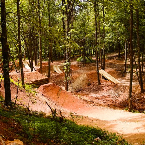 A wooded area featuring dirt bike trails and jumps surrounded by trees and natural terrain.