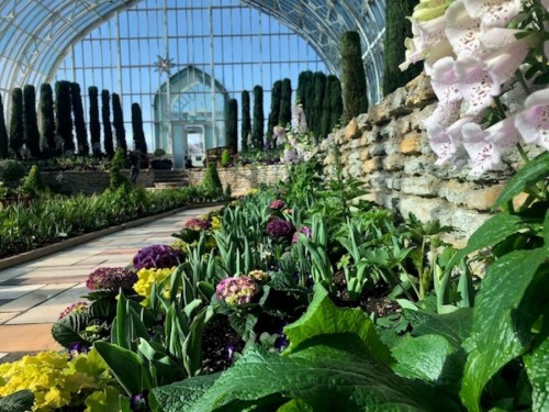 A vibrant greenhouse filled with colorful flowers and lush greenery, featuring tall plants and a bright, airy atmosphere.
