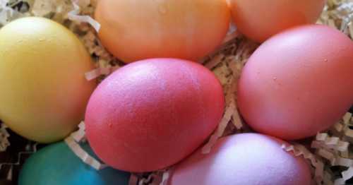 A colorful assortment of Easter eggs resting on shredded paper.